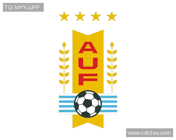 乌拉圭足球明星的辉煌历程与对世界足球的影响分析